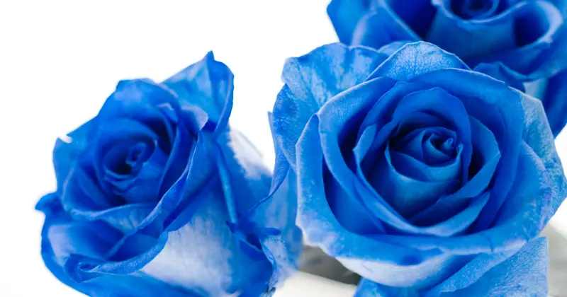 ご利用者に愛され続けている会社です!!